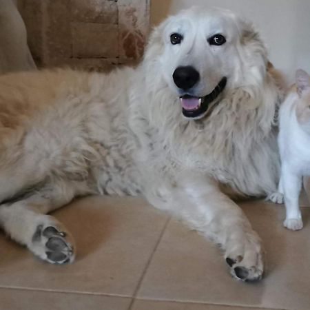 Matej Apartman Matulji Kültér fotó